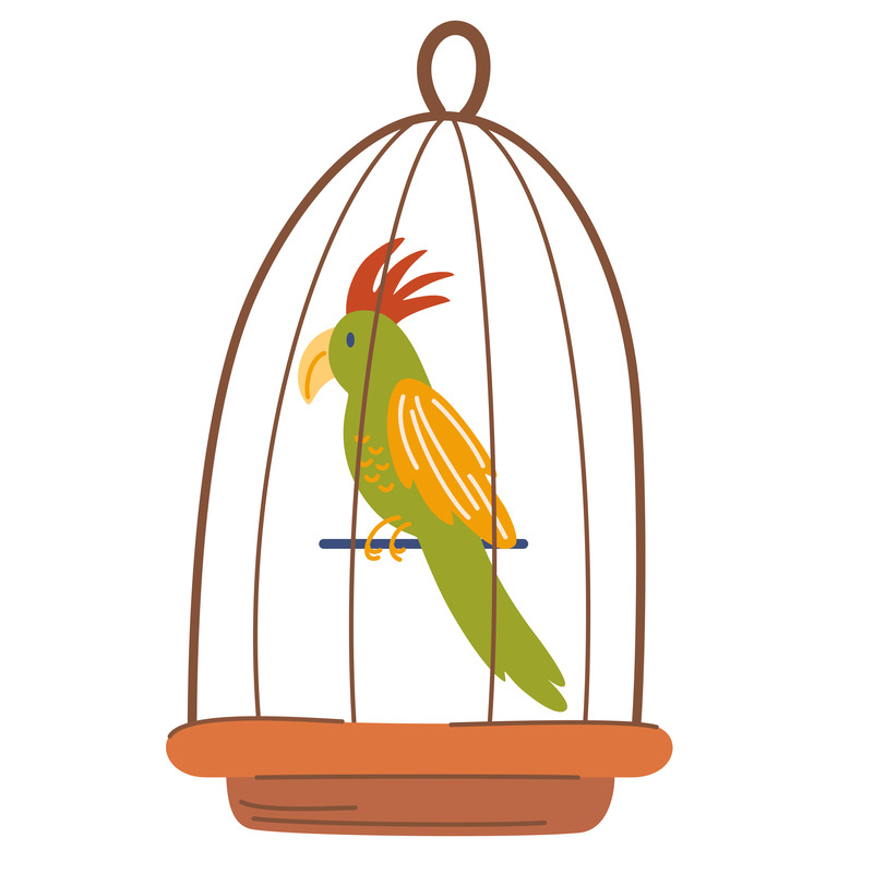 🦜 Best Bird Accessories & Cleaning Supplies – Cage Liners, Feeders, and Bathing Stations